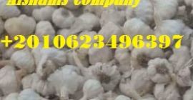 Мы ALshams для общего импорта и экспорта. Мы можем