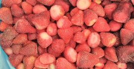 Eperfa Egyiptomból, fesztivál fajta, Fagyasztott, nem kalibrált, 15-25 (20%)