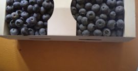 Voi vinde afine, preț care urmează să fie convenit