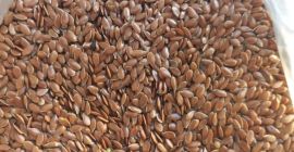 La nostra azienda, SEEDMARKET LLC, con sede a Mosca,