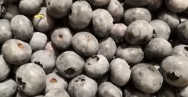 Afine afine bluecrop 15+. Ambalat în coșuri de 3