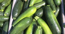 Hallo, ich verkaufe Zucchini, verschiedene Rinde und Acesta, ich