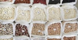 The Ukrainian company &quot;Bins Naturprodukt&quot; offers to wholesale beans.
