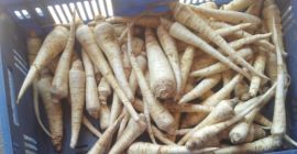 Продаћу АРАТ першун из хладњаче. Калибар од 2.5. Погодно