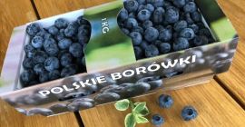 Voi vinde afine din propria mea cultivare. Pentru cantități