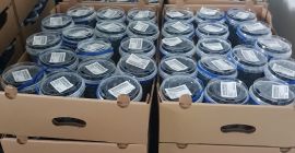 I will sell blueberry from our own plantation. We