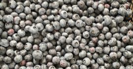 Voi vinde o afină proaspăt ruptă, de calibru de