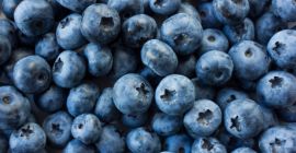 Buna ziua, vand fructe de afine din propria plantatie.