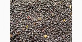 Vendiamo bacche congelate, esportiamo in Polonia dall&#39;Ucraina. Tutte le