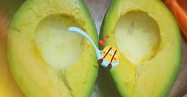 Die besten Avocados frisch aus dem Hochland von Tansania.