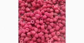 Фирма с опит в изкупуването и преработката на боровинки