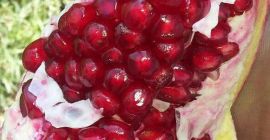 Liebe Kunden, ich biete Ihnen süßen Granatapfel