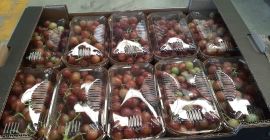 The Spanish company Laverida sells organic Itum grapes. Without