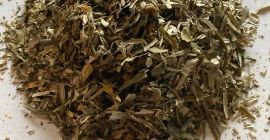 Sea buckthorn leaf for sale (Hippophaes rhamnoides folium), large