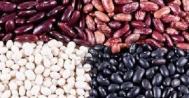 Selling beans wholesale. Beans production Ukraine. The Bins Naturproduct