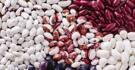 Продажба на боб, нова реколта Предлагаме насипно изкупуване на