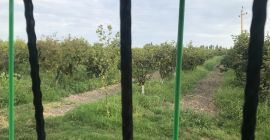 Bitte kontaktieren Sie uns für die Preisgestaltung. Die Preise