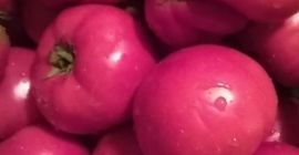 I am selling naturally grown garden tomatoes. Personal consumption.