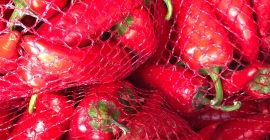 Здравейте, постоянно ще продавам лют пипер, циклонен сорт Руана,