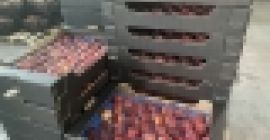 Наша компания специализируется на торговле и экспорте лучших продуктов