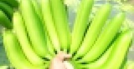 ШТА СЕ САМО АПЛИЦИРА +237650251254 Извозимо ЦОМПАНИ ЛИМИТЕД, једног