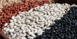 Export von Bohnen aus der Ukraine Wir exportieren Qualitätsbohnen