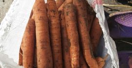 Preis: verhandelbar je nach gewünschter Menge. Lokaler Produzent aus