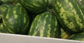 Product coming from the island of Capo Rizzuto, CALABRIA