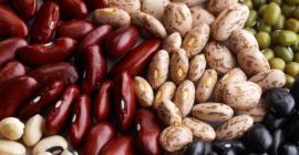Fagioli dai campi dell&#39;Ucraina, nuovo raccolto, all&#39;ingrosso. Forniamo tutti