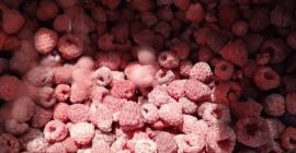 Продам малину замороженную 80/20 с Украины. Только количество МДП.