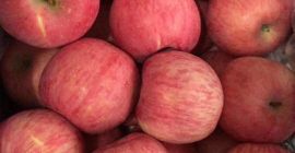 Produktname&gt; Fresh Fuji Apple Note&gt; Frisch, saftig, nahrhaft, hochwertig,