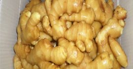 Name Ingwer Typ Frischer Ingwer, luftgetrockneter Ingwer Lieferkapazität 5000