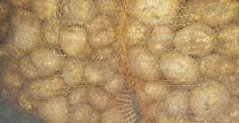 Hello, I have for sale potatoes, wine variety, potatoes