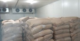 More selvatiche in vendita, 15 ton. Il prezzo è