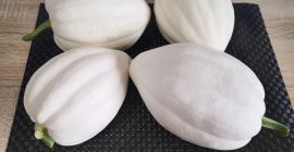 I will sell acorn pumpkins from my own organic