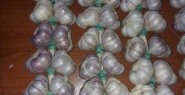 POLISH HARNAŚ GARLIC - ароматный, интенсивный. 1. Тесьма из