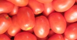 I will sell Lime field (Dyno) wholesale-retail For more