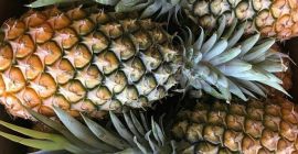 Свежие кайенские ананасы