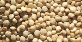Quinoa is a unique product originating from peruvian Andes.