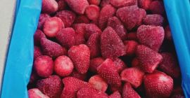 Gefrorene Erdbeeren zu verkaufen. Herkunftsland - Ägypten. - Klasse