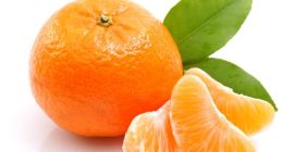 Prodotti agricoli di qualità e biologici provenienti da allevamenti