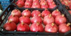 Sehr geehrte Damen und Herren, Wir sind ein Handelsunternehmen