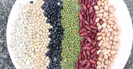 Bean Wholesale (Ukraine) Bins Naturproduct е украинска компания, която