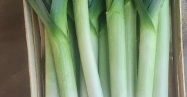 Schöne Einkaufssaison zu verkaufen. Ich habe noch Recherchen übrig