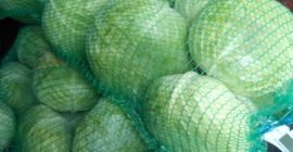 Autumn cabbage for sale in Halmeu, Satu-Mare County, price