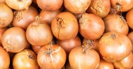 Onions of various types and thicknesses.