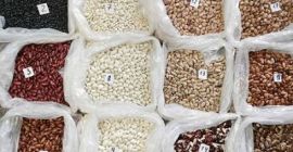 Wholesale beans. Quality beans from Ukraine Crates Naturprodukt company