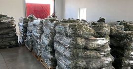Румънска компания, продава пресни краставици с калибър 7-13 см,
