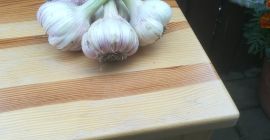 Продам чеснок сорта харнась. Чеснок продается за головку по