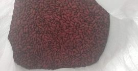 I will sell dry red beans this year